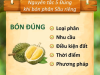 Nguyên Tắc 5 Đúng Khi Bón Phân Sầu Riêng