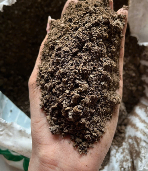 Phân gà vi sinh dạng bột