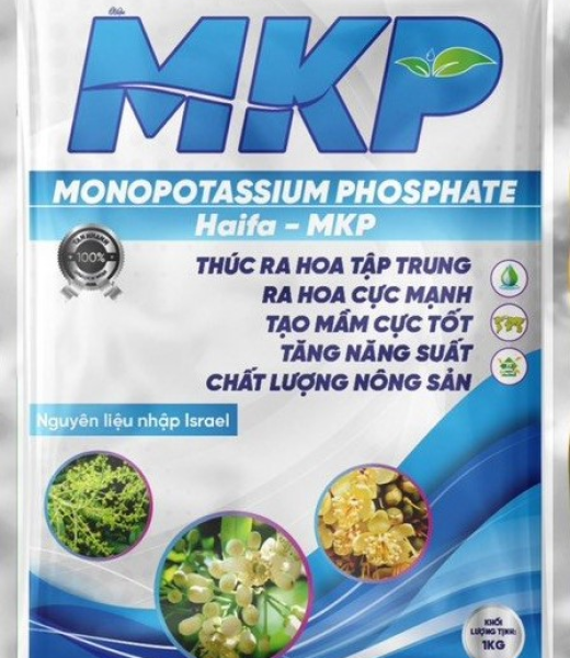 PHÂN MKP – TĂNG NĂNG SUẤT