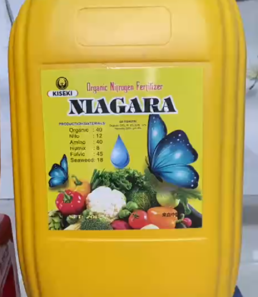 PHÂN ĐẠM HỮU CƠ