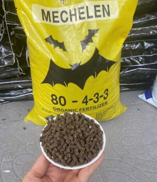 Mechelen