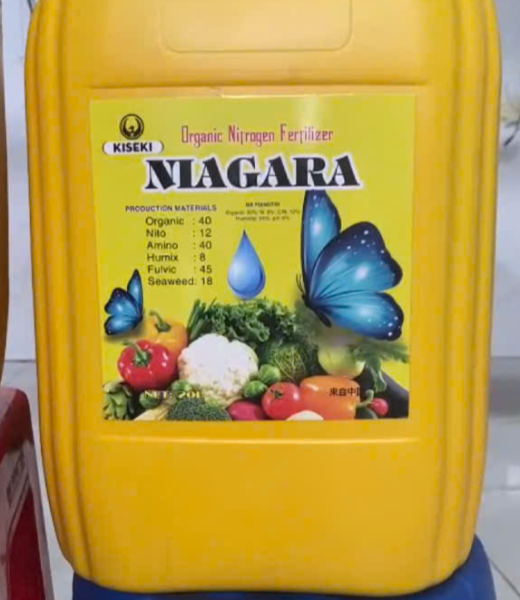 Niagara