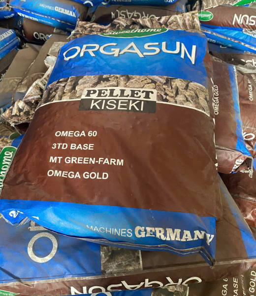Orgasun