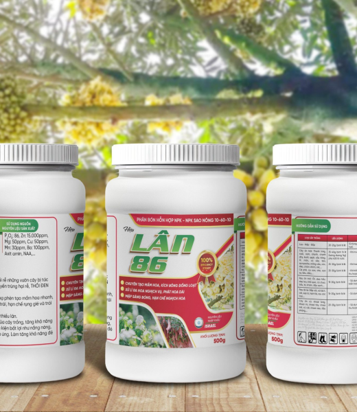 PHÂN BÓN HỖN HỢP NPK – NPK SAO NÔNG 10-60-10